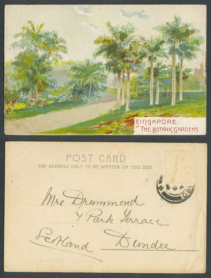 Singapore Art Drawn Old UB Postcard Botanic Gardens Botanical Garden, Palm Trees