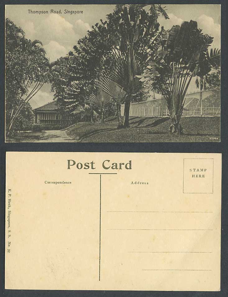 Singapore Old Postcard Thompson Road Traveller's Palm Trees Reservoir KP Hock 32