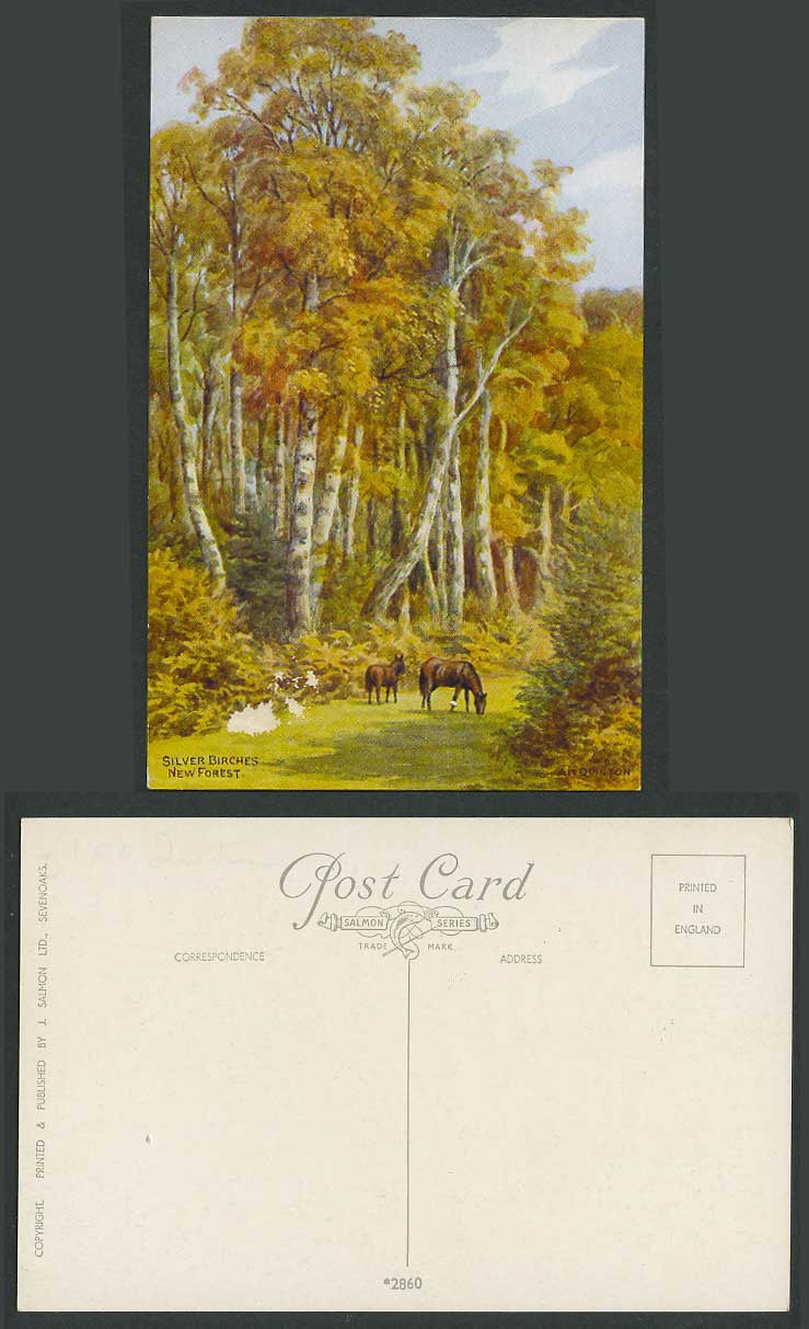 AR Quinton Old Postcard Silver Birches Birch Trees, New Forest, Horses Pony 2860