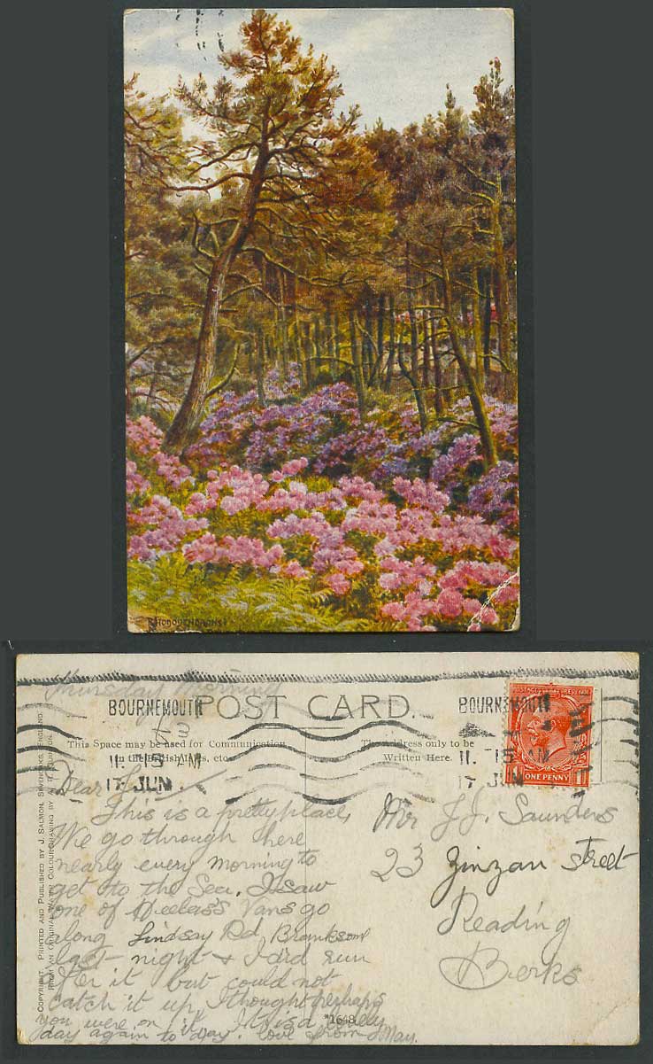 A.R. Quinton Old Postcard Rhododendrons Branksome Chine Bournemouth Flowers 1648