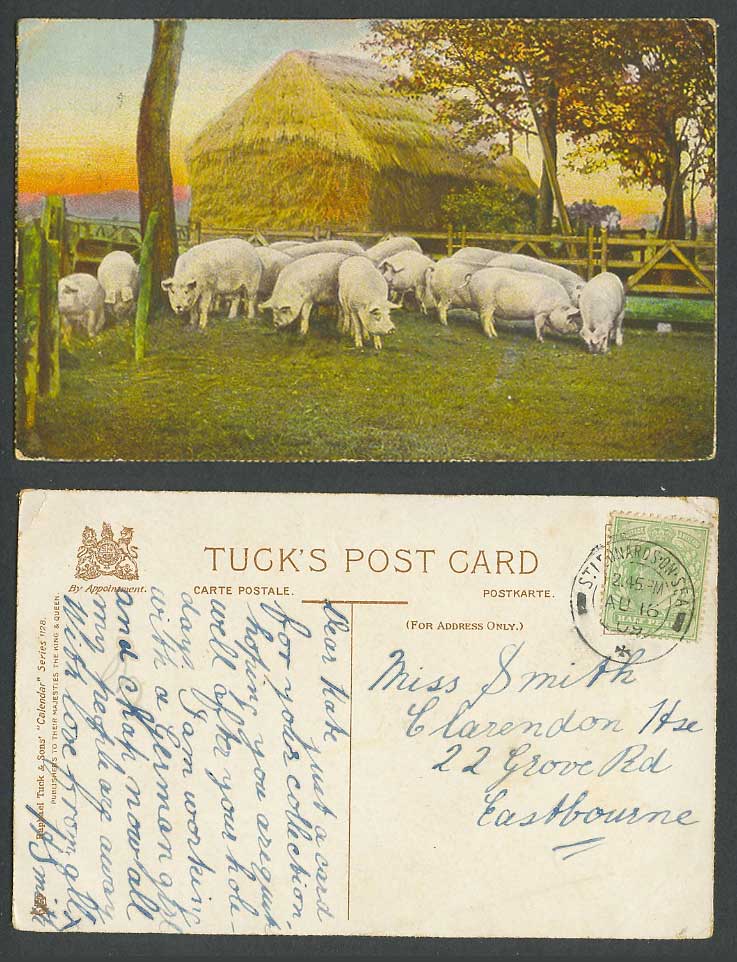 Pigsty Pigs Piglets 1909 Old Postcard Tuck's Calendar No.1128 Piglet Pig Pen Hut