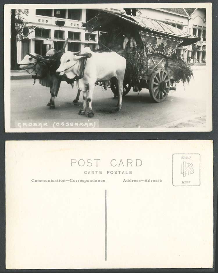 Indonesia DEI Old Real Photo Postcard Grobak Ossenkar Native Double Bullock Cart