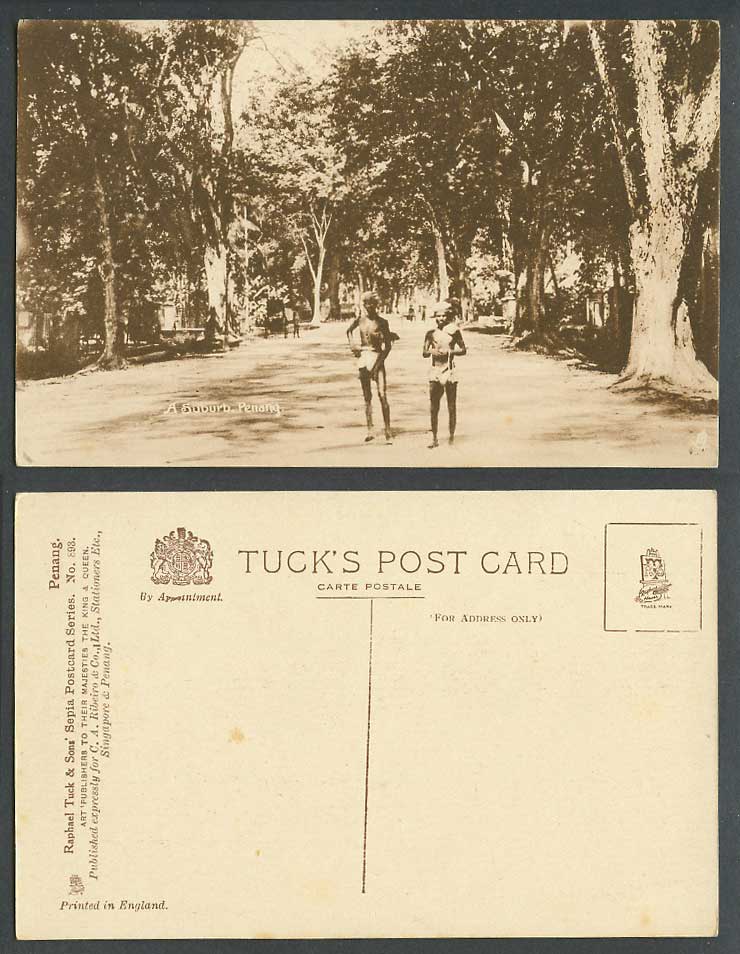 Penang Tuck's 893 Old Postcard A Suburb Native Malay Men Tree-lined Street Scene