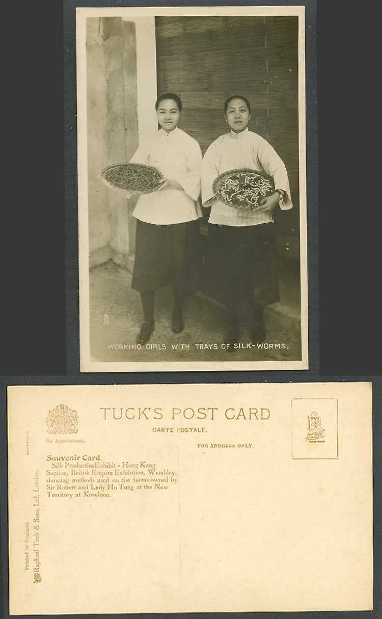 China Hong Kong Old RP Postcard Working Girls with Trays of Silk Worms Silkworms