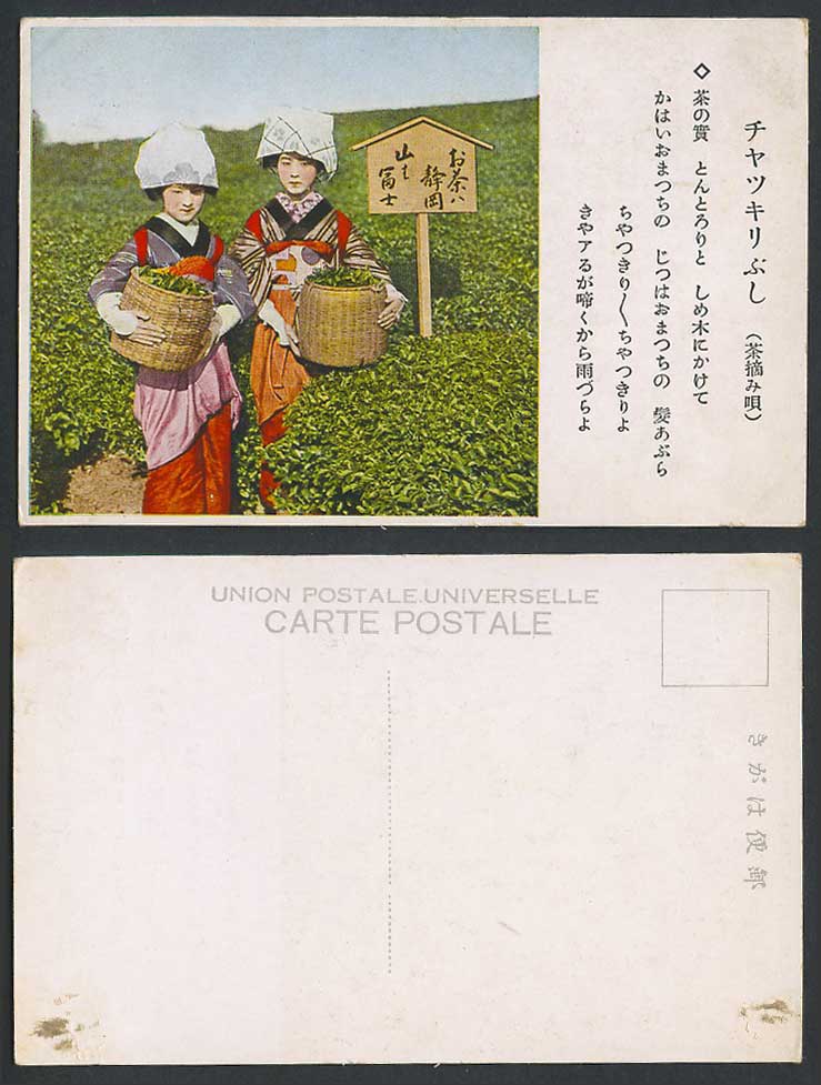 Japan Old Colour Postcard Mt Fuji Shizuoka Native Women Pluckers Plucking Tea 茶摘