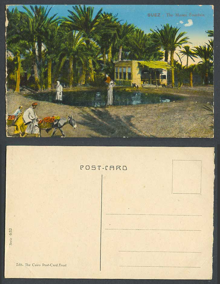 Egypt Old Colour Postcard Suez The Moses Fountain Fontaine de Moise Donkey Palms