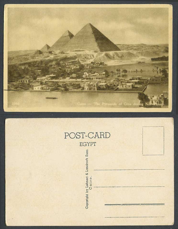Egypt Old Postcard Cairo Pyramids of Giza Gizeh Village Flooded Nile River Scene