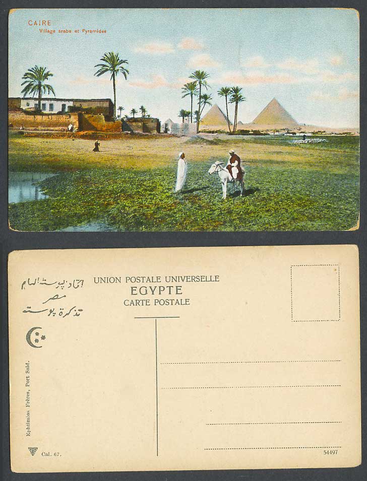 Egypt Old Postcard Cairo Arabe ArabVillage Pyramids Pyramides Donkey Palm Trees