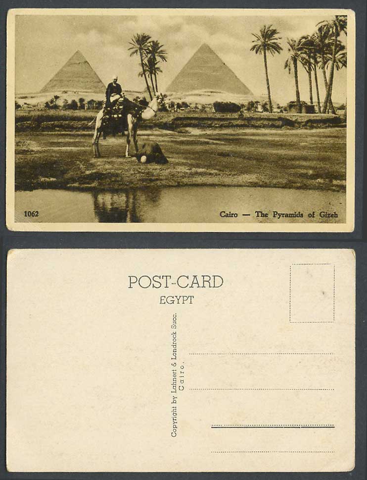 Egypt Old Postcard Cairo Pyramids of Gizeh Giza, Camel Rider, Palm Trees Village