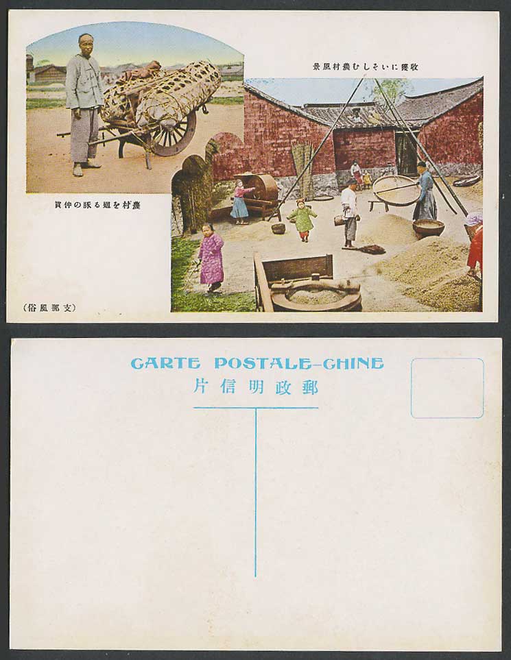 China Old Postcard Pigs Wheelbarrow Chinese Countryside Farmers Harvest Husking