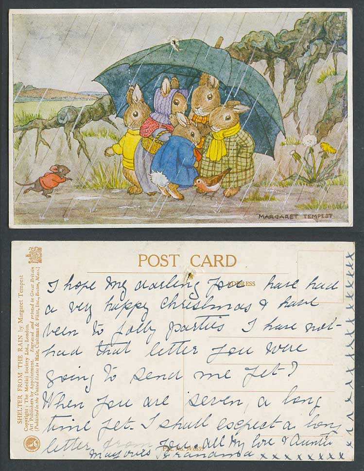 Margaret Tempest Old Postcard Shelter from The Rain Rabbits Robin Bird Rat Mouse