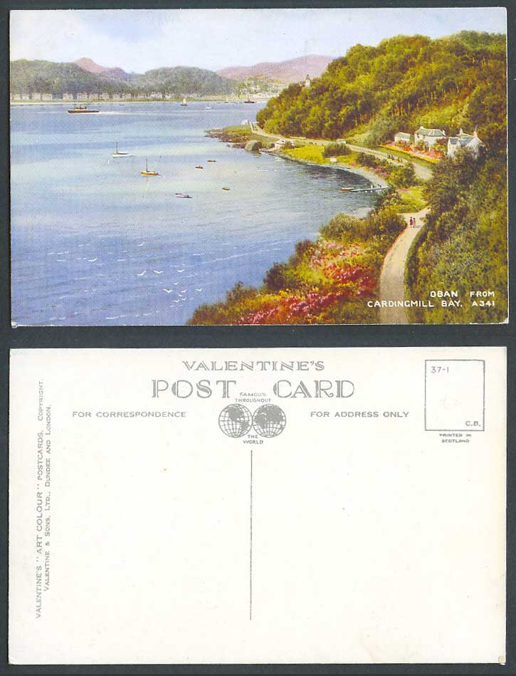 Oban from Cardingmill Carding Mill Bay, Panorama, Art Artist Drawn Old Postcard