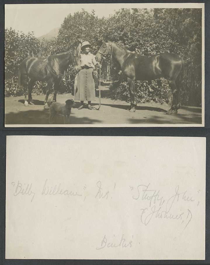 Horse Horses Dog Puppy Lady Woman Billy William Mrs Stuffy John.. Old Real Photo