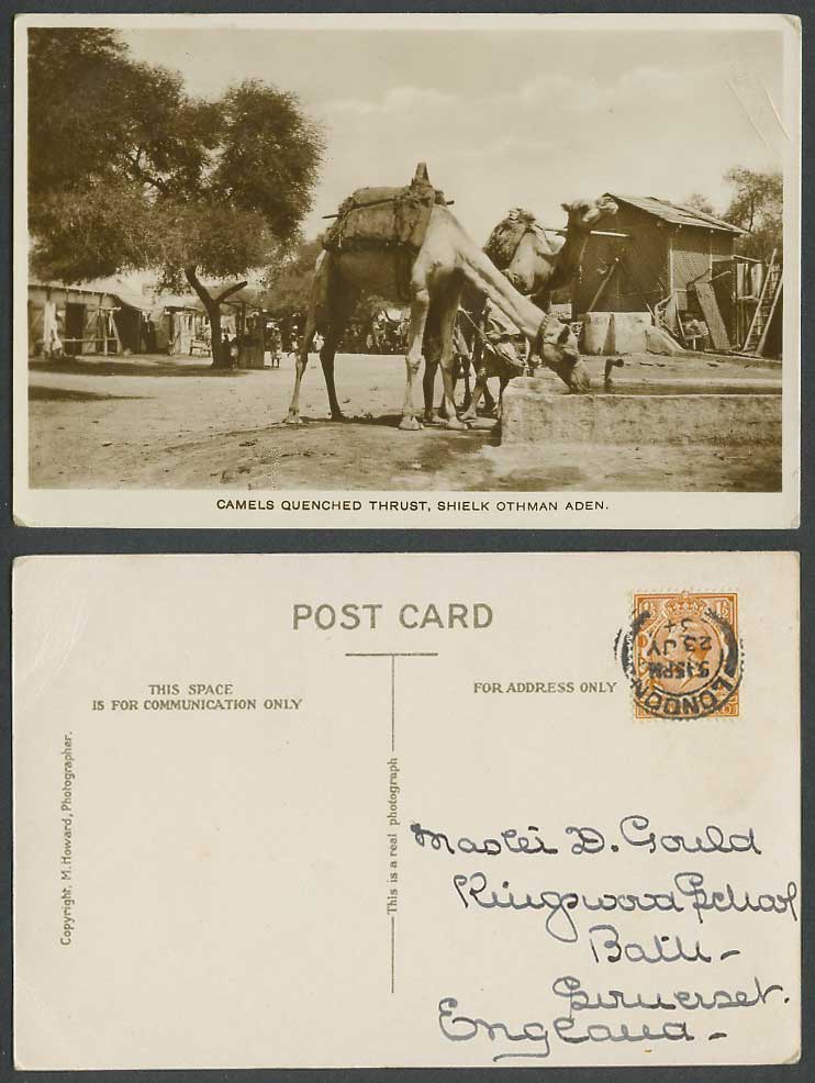 Aden 1934 Old R Photo Postcard Camels Quenched Thrust Shielk Othman Street Scene