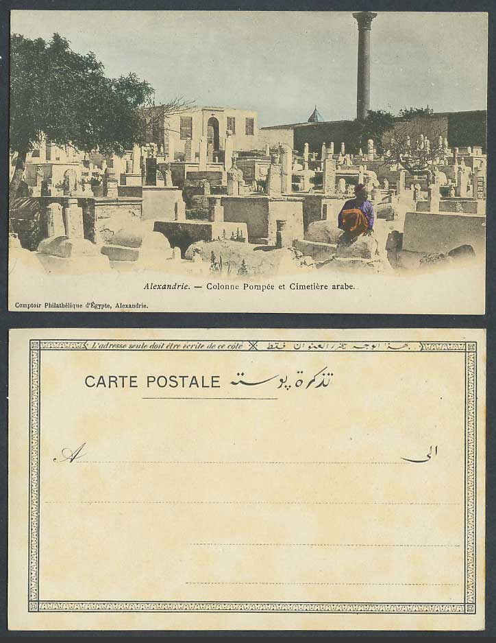 Egypt Old Hand Tinted Postcard Alexandria Colonne Pompee & Column Arabe Cemetery