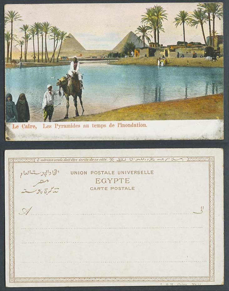 Egypt Old UB Postcard Cairo, Camel Rider, Pyramid, Flooded Nile River Inondation