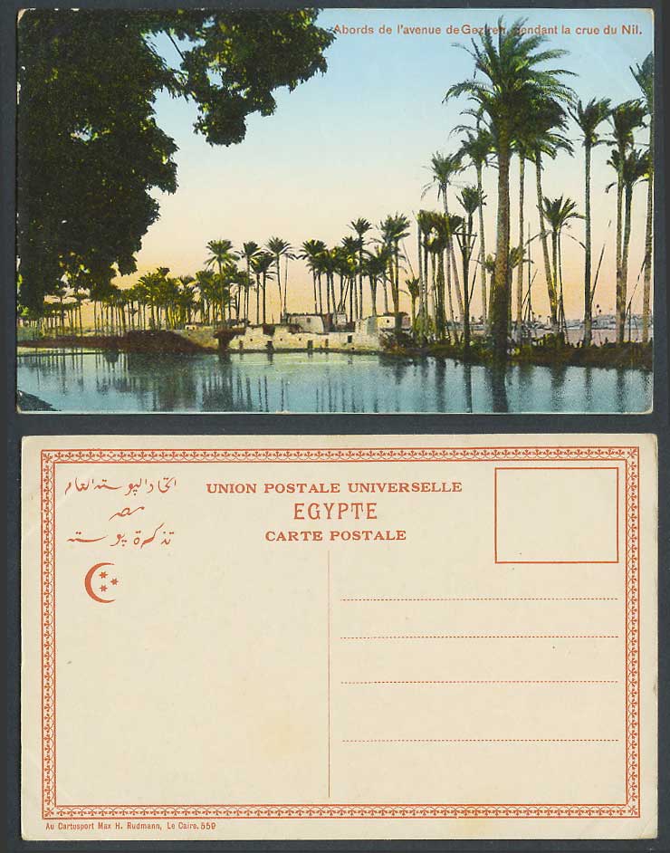 Egypt Old Postcard Avenue de Gezireh Gezira Crue du Nil Flooded Nile River Flood