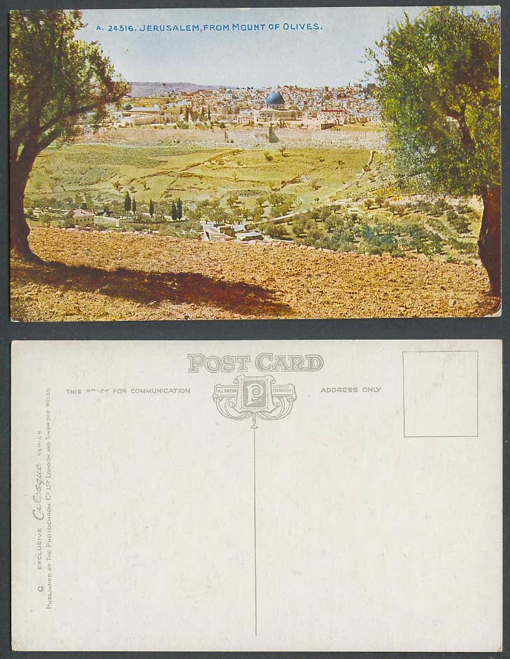 Palestine Old Colour Postcard Jerusalem From Mount of Olives Olive Tree Panorama
