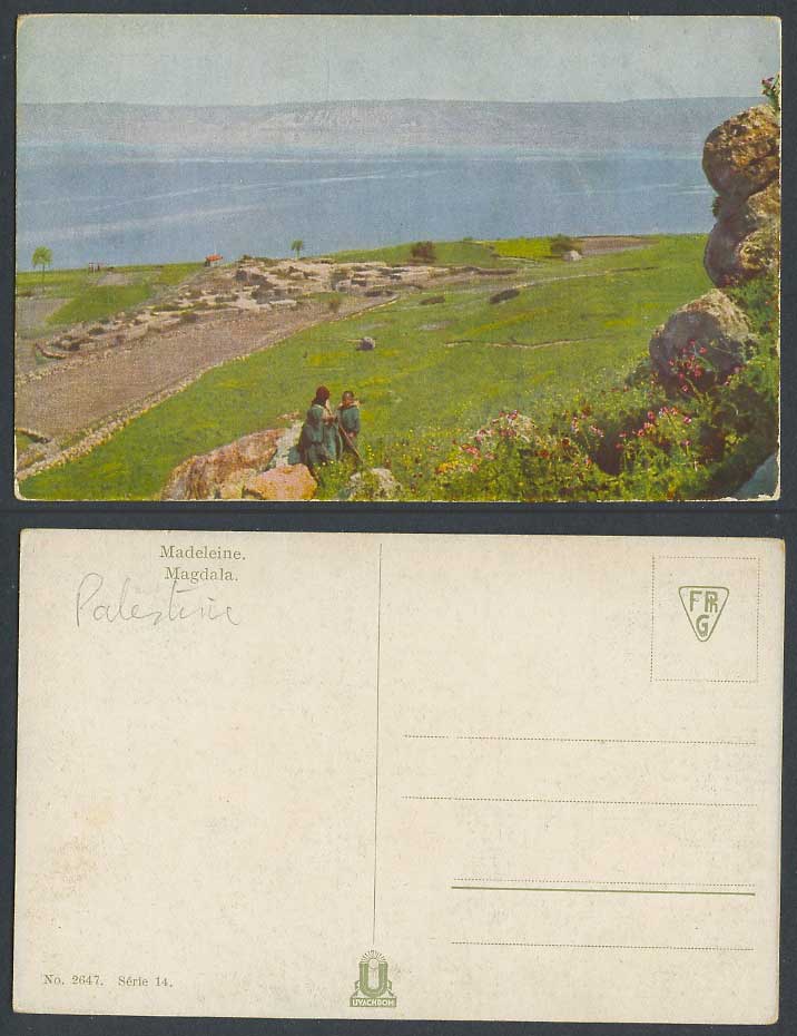 Israel Palestine Old Colour Postcard Magdala, Madeleine, Panorama General View