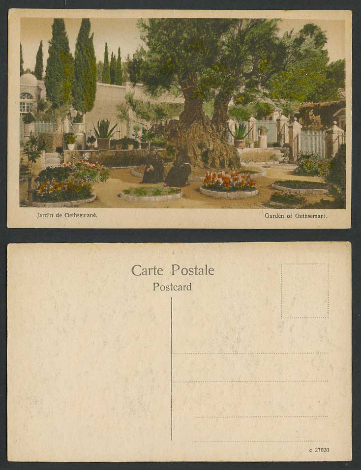 Palestine Old Hand Tinted Postcard Jerusalem Garden of Gethsemane Jardin Flowers