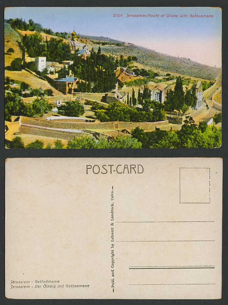 Palestine Old Colour Postcard Jerusalem, Mount of Olives with Gethsemane Gardens