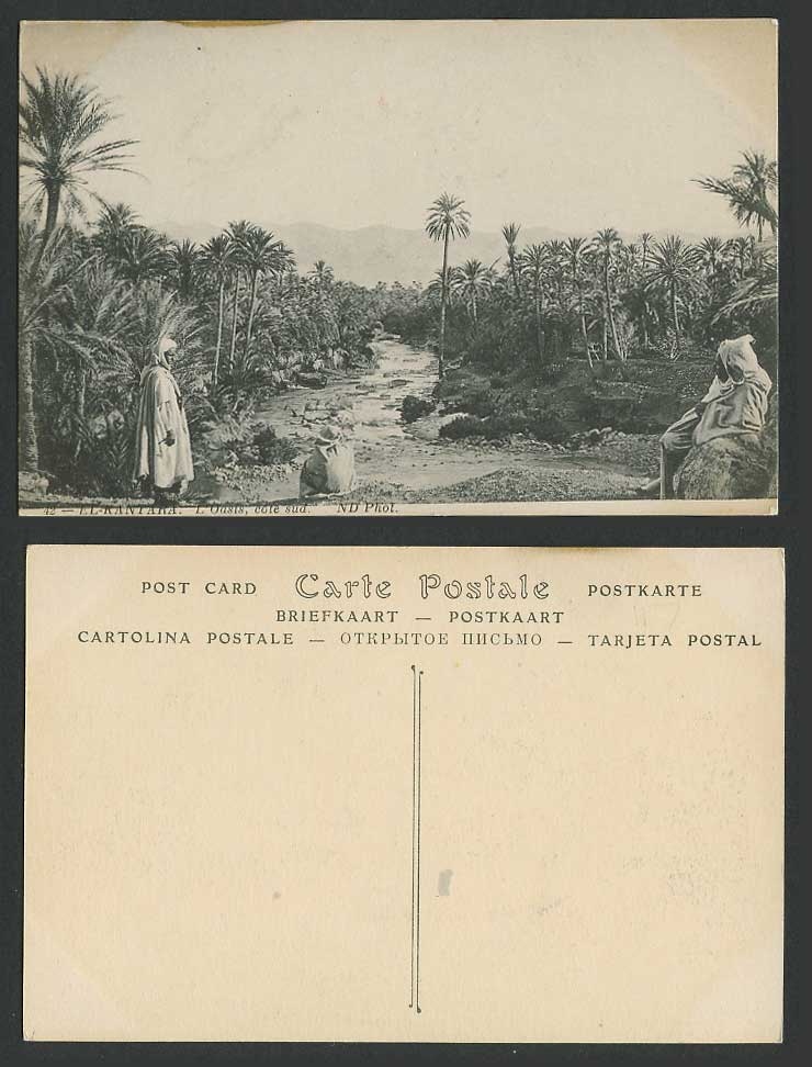Algeria Old Postcard El Kantara, Oasis South Side L'Oasis Cote Sud, River, Palms