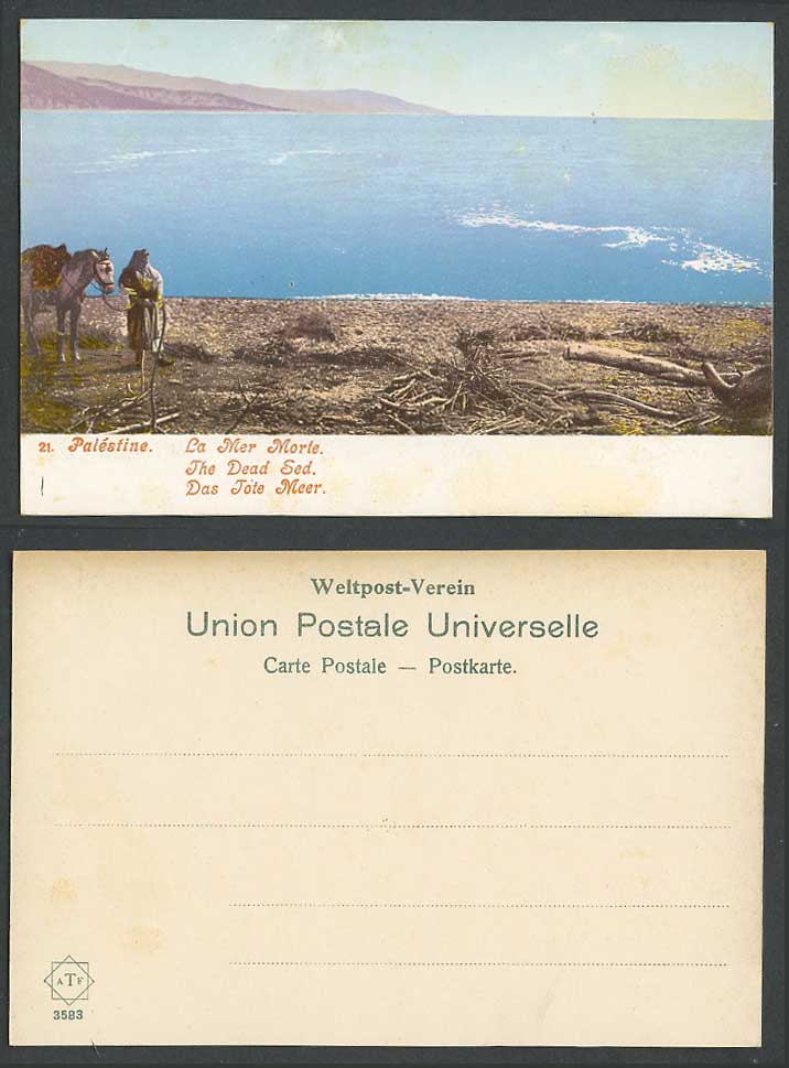 Palestine Old Colour UB Postcard Man & Horse by The Dead Sea Mer Morte Tote Meer