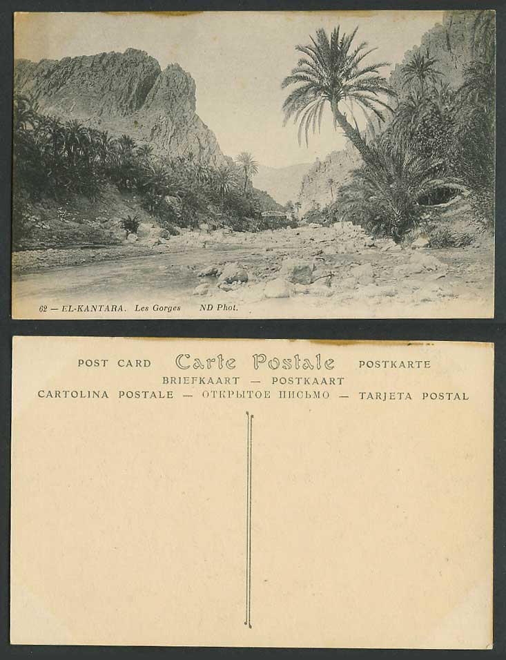 Algeria Old Postcard El Kantara Les Gorges Gorge River Scene Palm Trees Rocks 62
