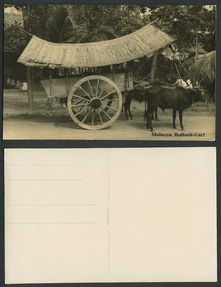Malacca Double Bullock Cart Old Real Photo Postcard Native Transport Cattle Oxen