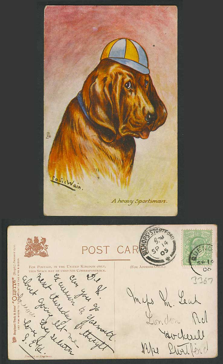 LOUIS WAIN Artist Signed Bloodhund Dog, A Heavy Sportsman 1905 Old Tuck Postcard