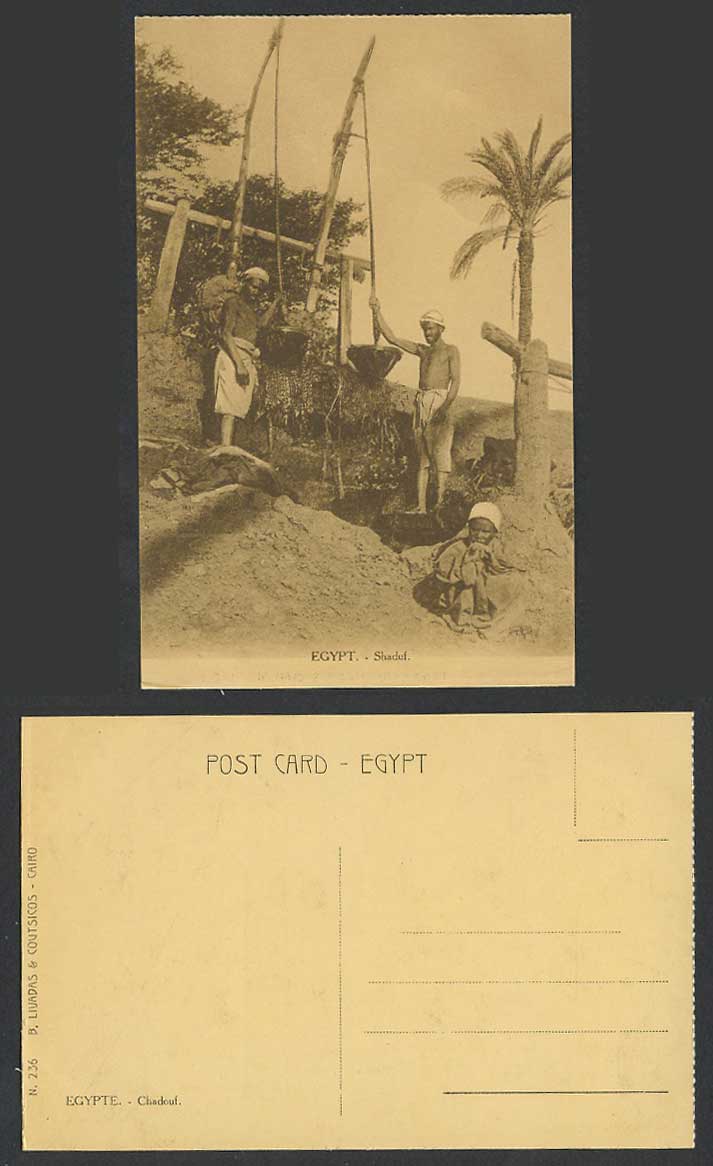 Egypt Old Postcard Shaduf Chadouf Native Egyptian Irrigation Irrigating Tool Boy