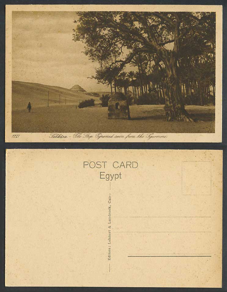 Egypt Old Postcard Sakkara, The Step Pyramid seen from Sycomore, Palm Trees 1133