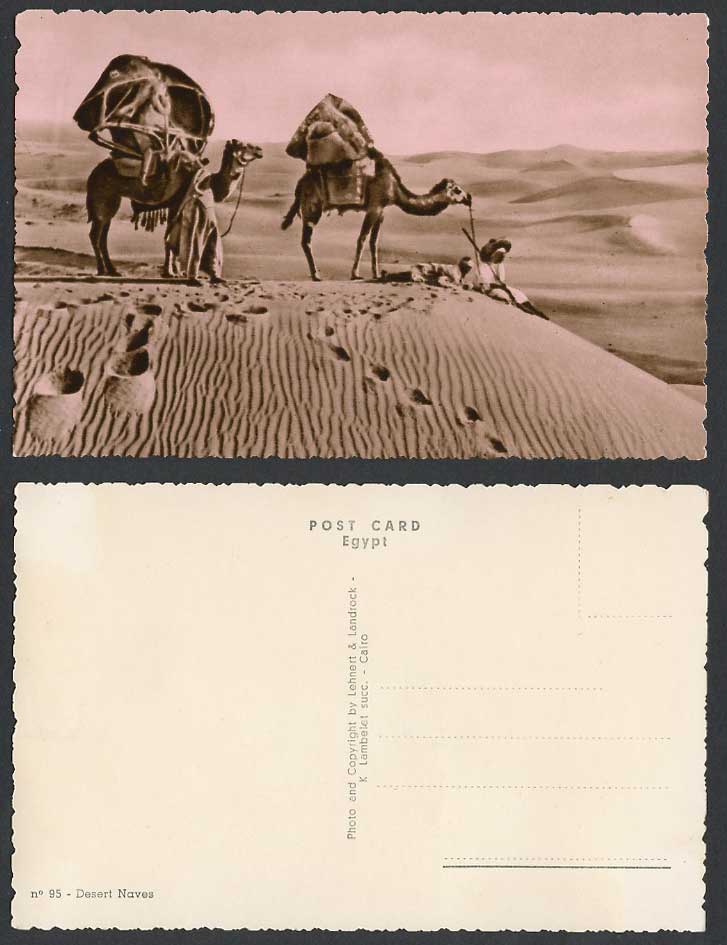 Egypt Old Real Photo Postcard Desert Naves, Camels Native Men Resting Sand Dunes