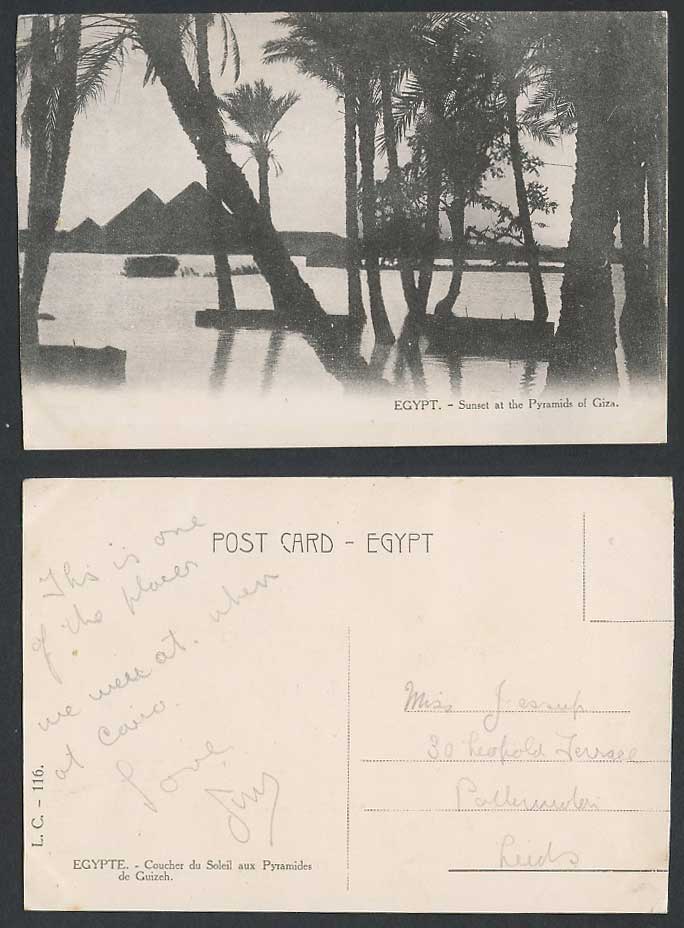 Egypt Old Postcard Sunset at Pyramids of Giza Guizeh Nile River Flood Palm Trees
