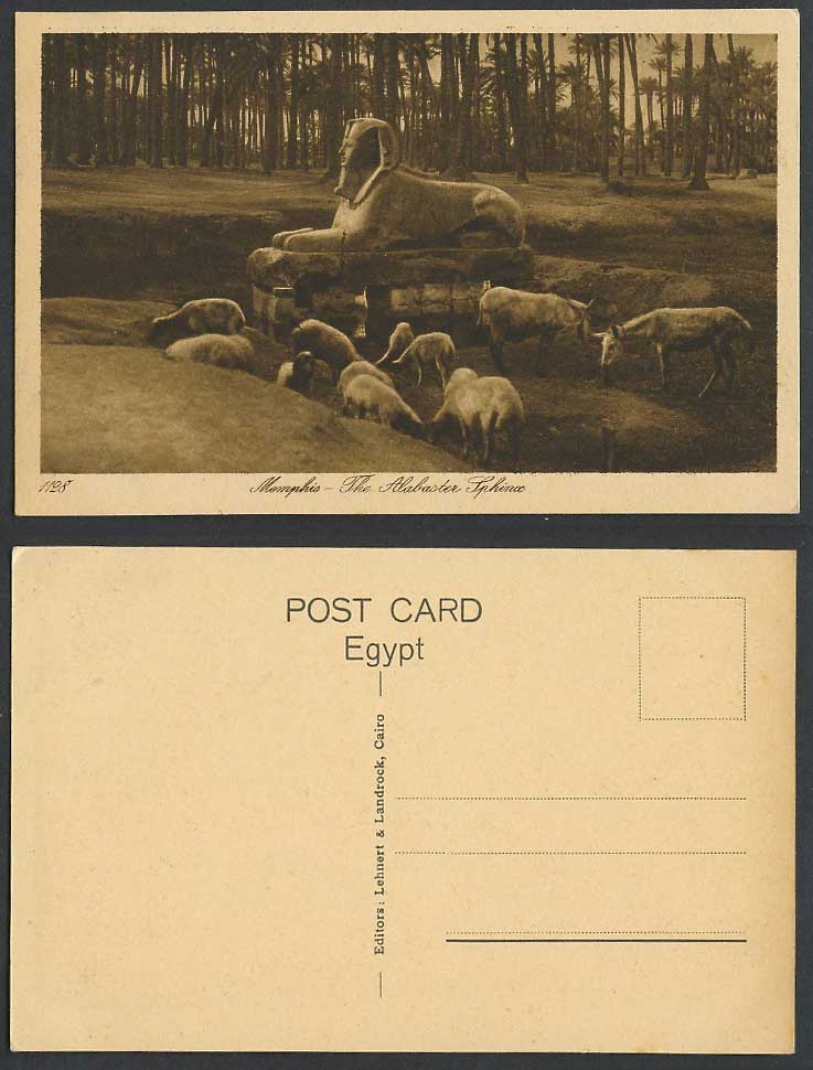 Egypt Old Postcard Memphis Alabaster Sphinx Cattle Sheep Lamb Sakkara Palm Trees