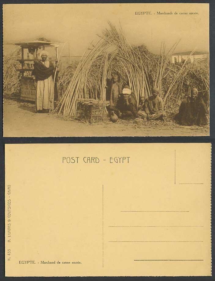 Egypt Old Postcard Native Egyptian Sugarcane Sugar Cane Merchants Sellers Vendor