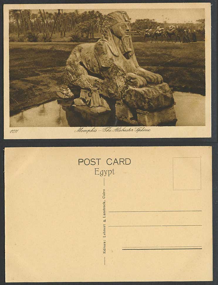 Egypt Old Postcard Memphis Alabaster Sphinx Statue Girl Camel Caravan Camels1131