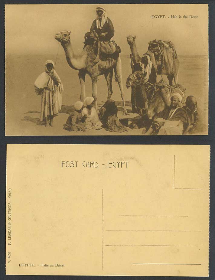Egypt Old Postcard Halt in Desert Camel Rider Camels Native Men Children Resting