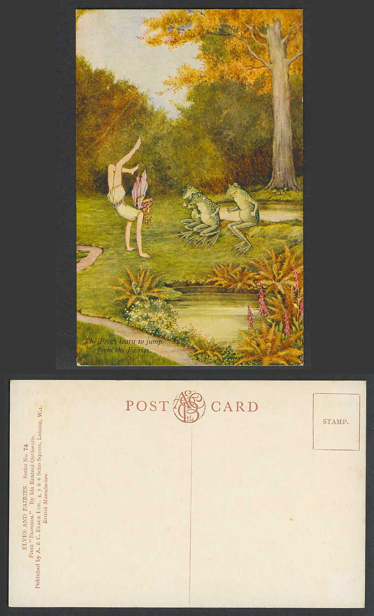 I.R. OUTHWAITE Old Postcard The Frogs Learn to Jump from The Fairies Blossom 74.