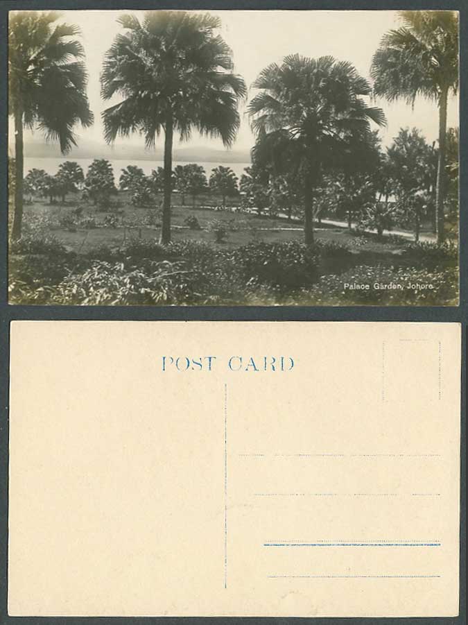 Johore Old Real Photo Postcard Palace Garden Palm Tree Johor Straits Settlements