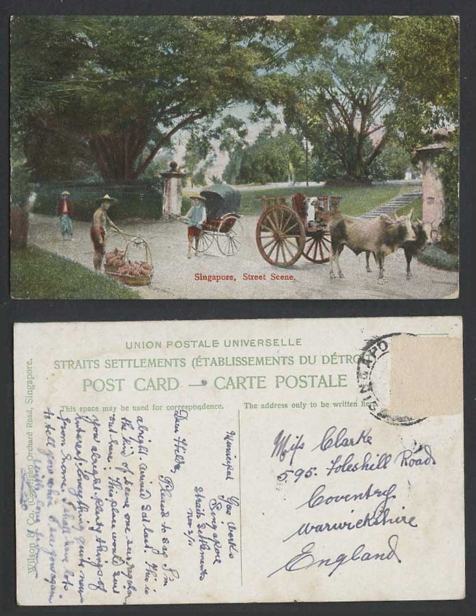 Singapore 1911 Old Color Postcard Street Scene Rickshaw Coolie Cattle Cart Steps