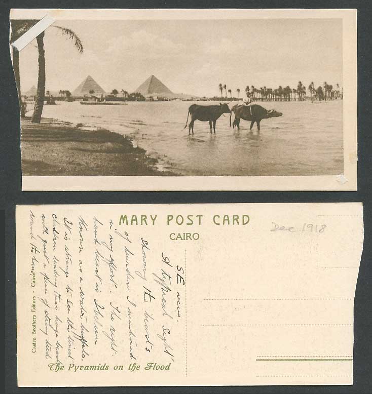 Egypt 1918 Old Postcard Cairo Pyramids on Flood Buffalo Rider Nil River Bookmark