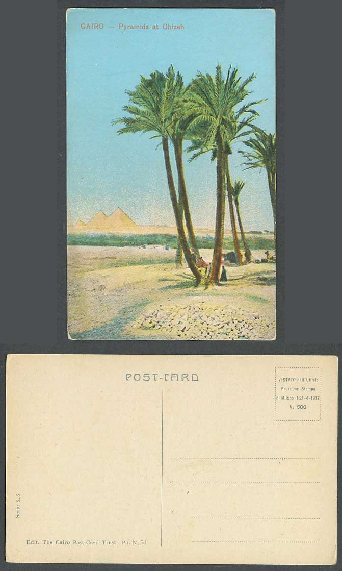 Egypt Old Colour Postcard Cairo Pyramids at Ghizeh Giza Palm Trees Le Caire, 646