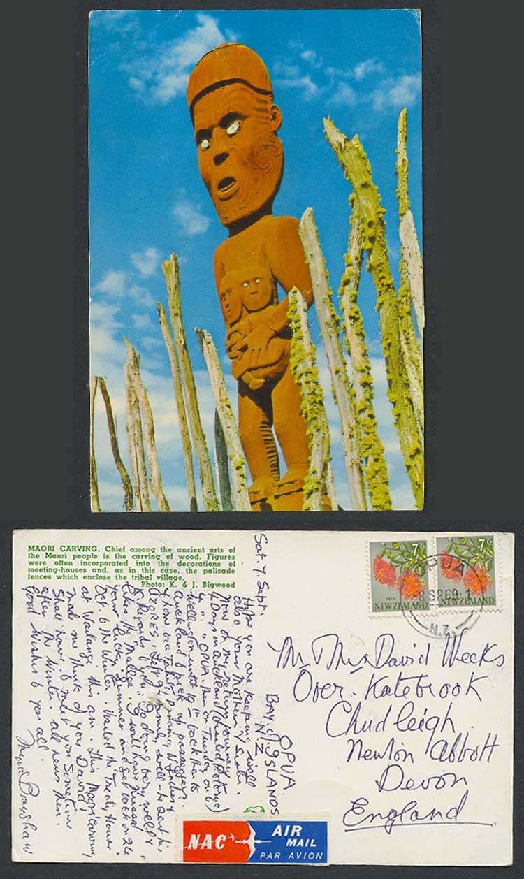New Zealand 1969 Postcard Maori Carving, Palisade Fences Enclose Tribal Village