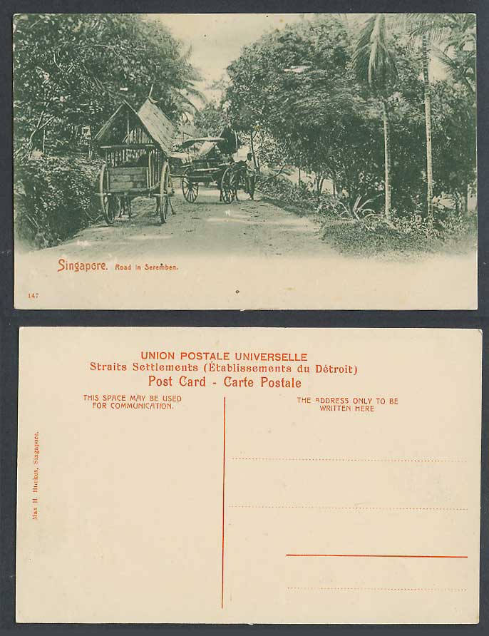 Singapore Old Postcard Road in Seremben, Native Horse Carts, Max. H. Hilckes 147