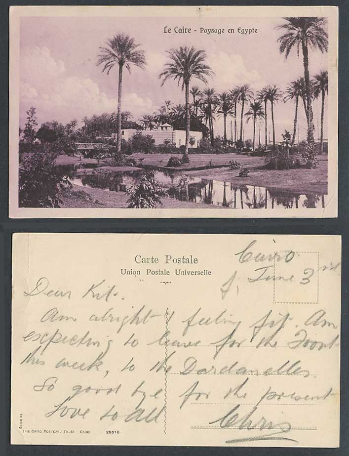 Egypt Old Postcard Cairo Bridge Palm Trees Landscape, Le Caire Paysage en Egypte
