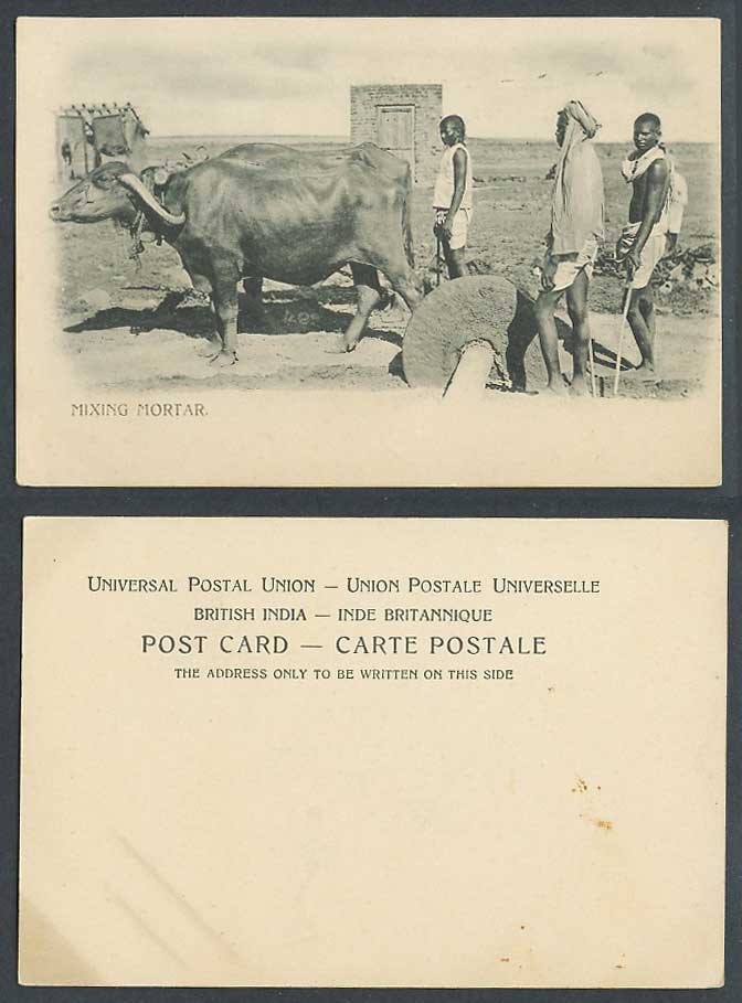 India Old UB Postcard MIXING MORTAR, Cattle Water Buffalo at Work Native Workers