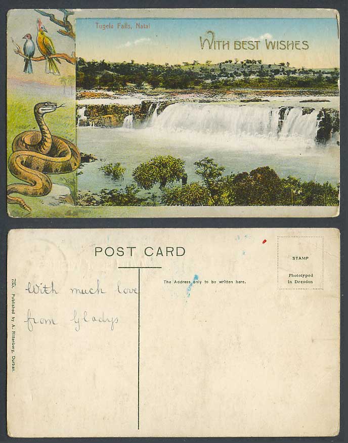 South Africa Old Postcard Tugela Falls Natal, Waterfalls Snake Birds Drakensberg