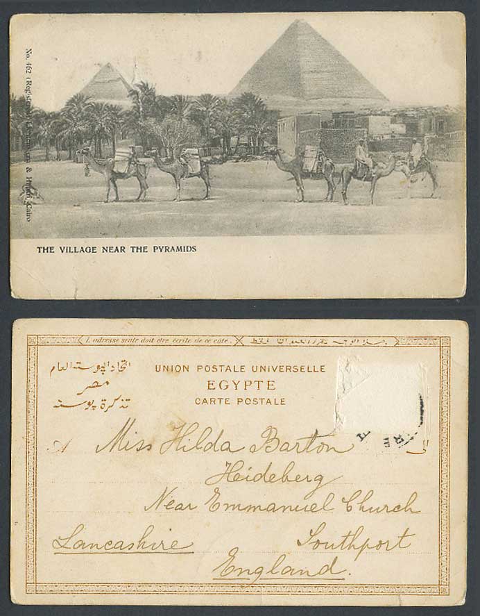 Egypt Old UB Postcard Cairo Village near Pyramids Camels Palm Trees Camel Riders