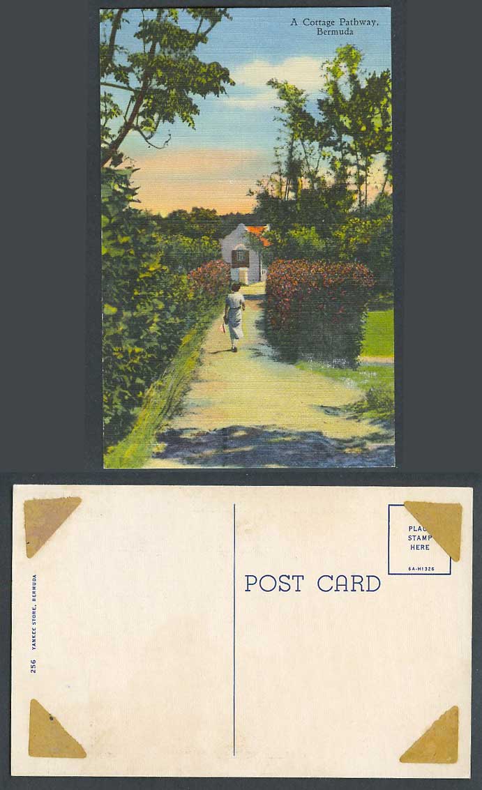 Bermuda Old Colour Postcard A Cottage Pathway, Lady Woman Walking, Yankee Store